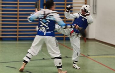 Erfolgreiche Kup-Prüfungen Erfolgreiche Kup-Prüfungen